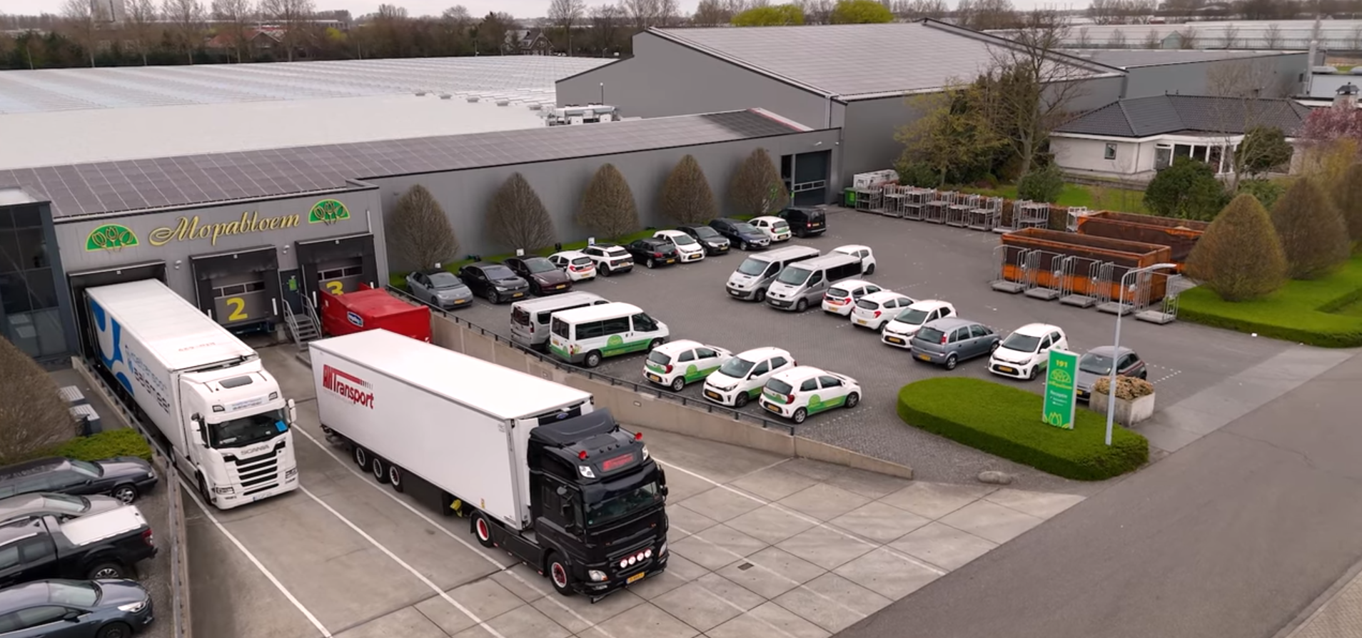 Review van Mopabloem.png