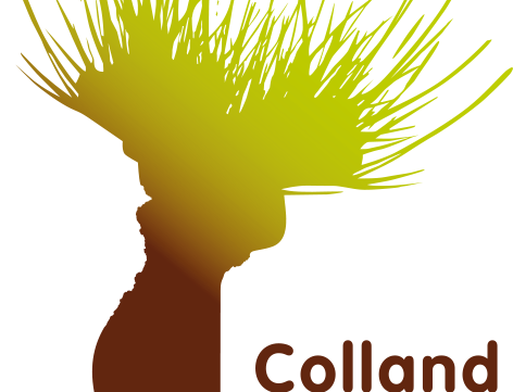 LOGO_Colland.png