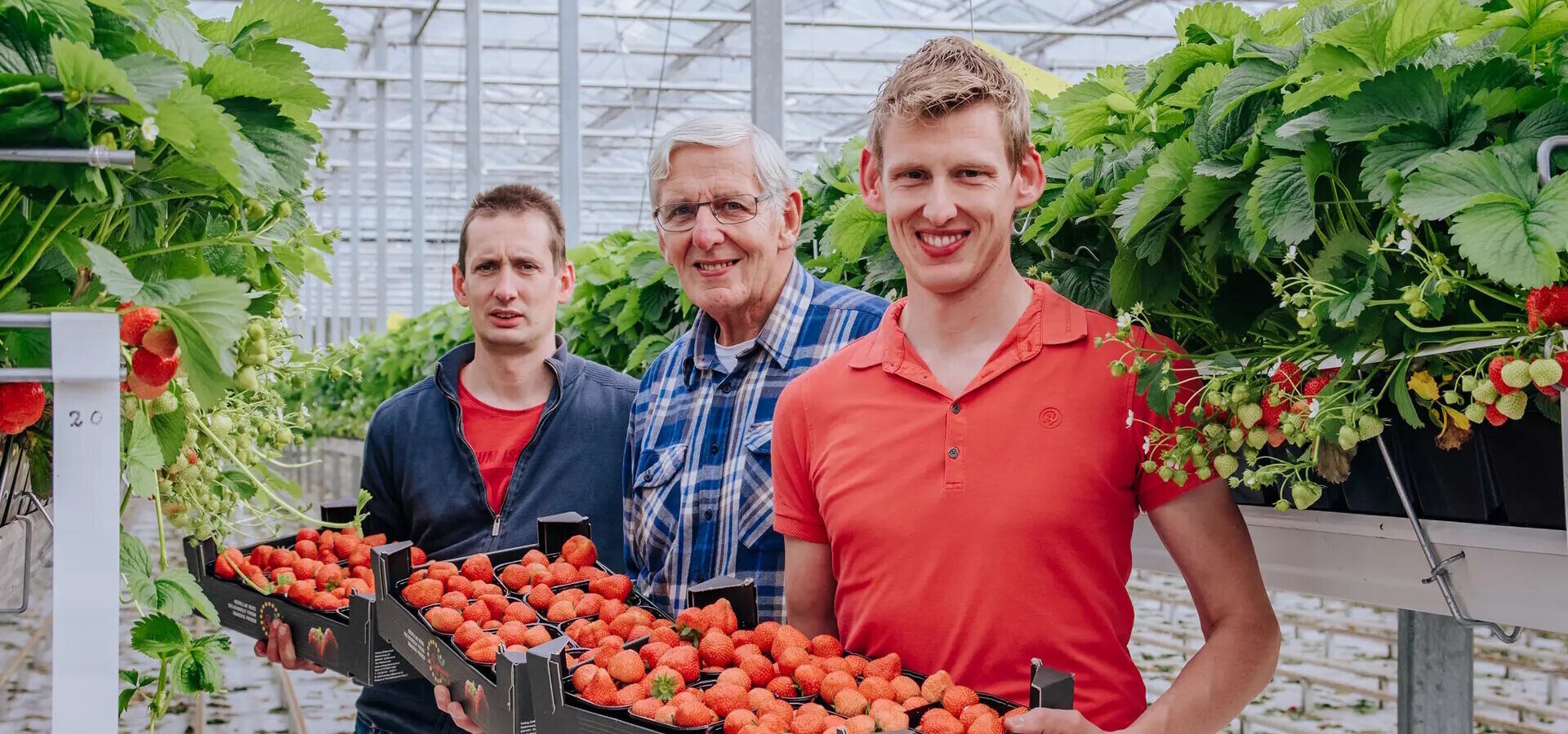 kwekerij van Tuyl3.jpg