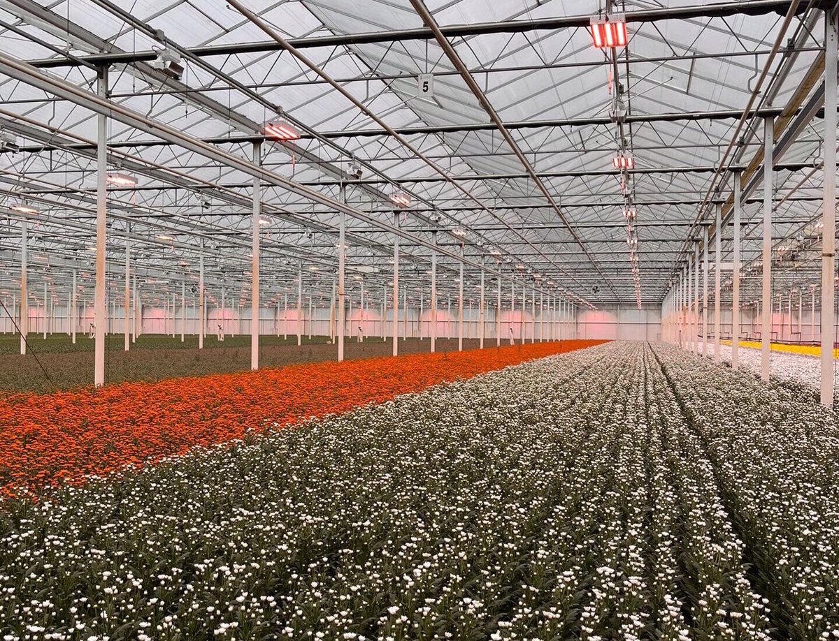 op zoek naar geschikte medewerkers.jpg